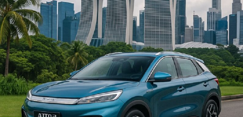 BYD Car Prices in Singapore: What You Need to Know Before You Buy