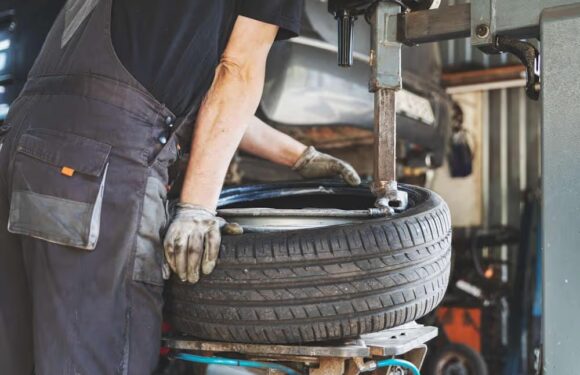 Grease, Grit, and Gears: Where Machines Get Their Second Wind
