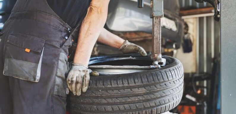 Grease, Grit, and Gears: Where Machines Get Their Second Wind